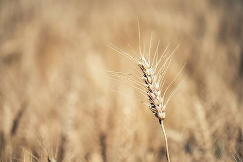 Quelle: AdobeStock_157367800